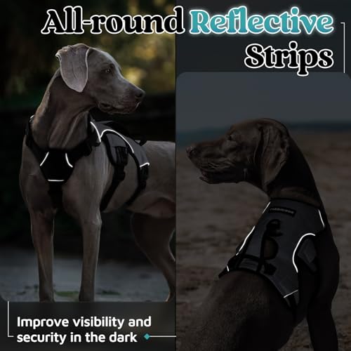 Escape Proof Dog Harness for Medium (Grey / Medium)
