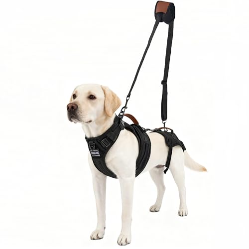 Dog Lift Harness for Male Dogs