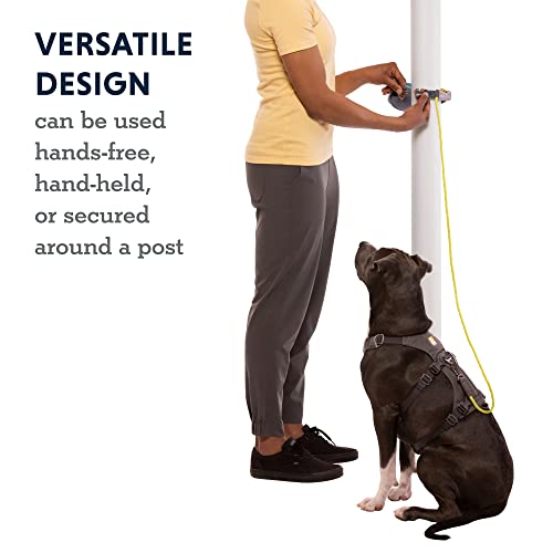 Hitch Hiker Dog Leash (Sunny Lime / One Size)