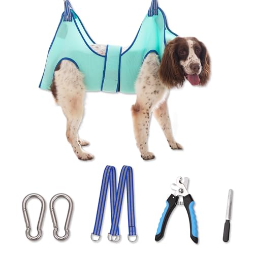 Dog Grooming Hammock (X-Large 50 LB Max/Turquoise)