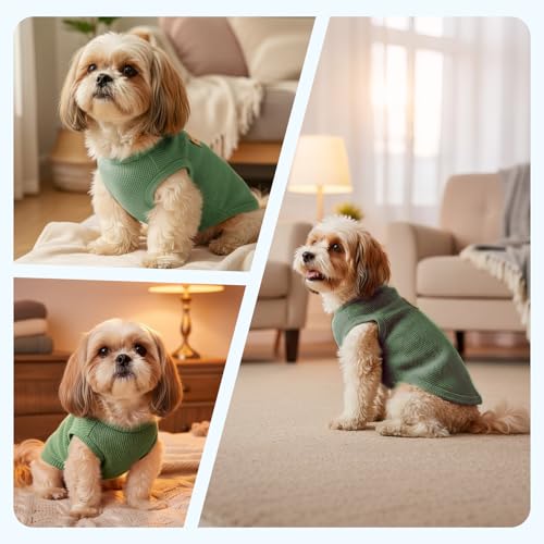Dog Clothes for Small Dogs (Green&Blue&Purple / Medium(4.1-9lb))