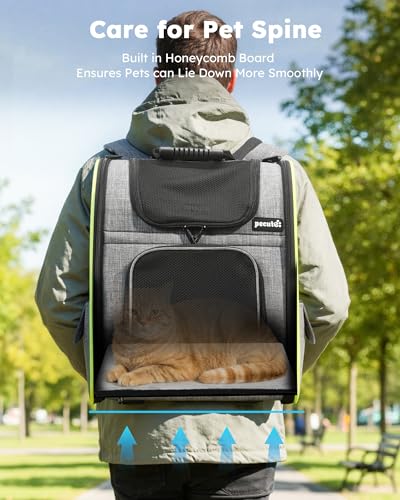 Cat Backpack Expandable (Grey / 12.6"L x 10.2"W x 16.5"H)