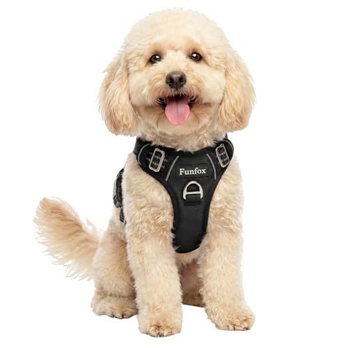 Dog Harness Small Sized Dog (Black / Small)