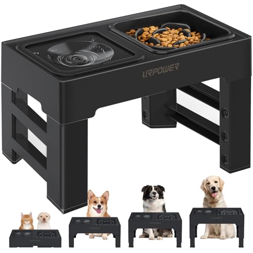 2-in-1 Elevated Slow Feeder Dog Bowls with No-Spill Water Bowl (Black / Slow Feeder)