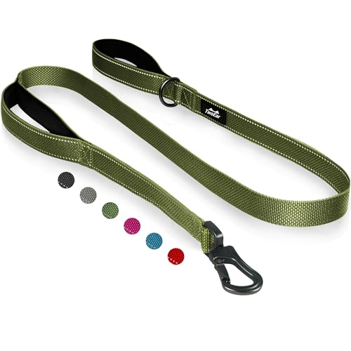 6FT 1IN Heavy Duty Dog Leash for Large Dogs with 2 Padded Handles (Green / 1 in x 6 ft)