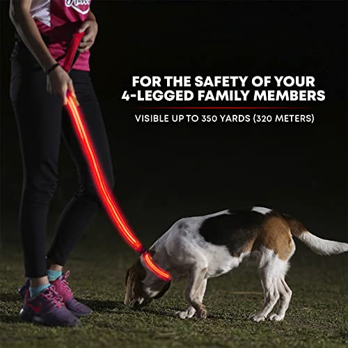 LED Light Up Dog Leash (4 Feet / Ruby Red)