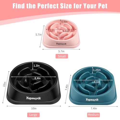 2 Pack Slow Feeder Dog Bowls for Medium Dogs & Cats (Medium / Black and Pink)