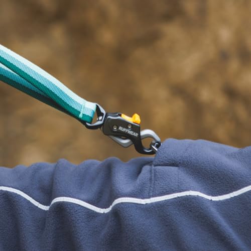 Roamer Lock Bungee Dog Leash (Orion Blue / 7.3'-11')