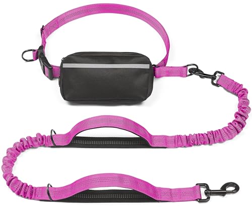 Hands Free Dog Leash with Zipper Pouch (Very Berry / Large)