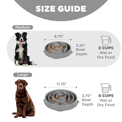 Fun Feeder Slo Bowl Dog Slow Feeder (Gray / Medium)