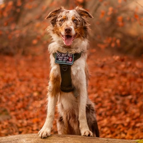 Tactical Dog Harness Medium Sized (M(chest:20.1"-33.9",neck:17.7"-22.3",back:7.5") / Brown Camo)