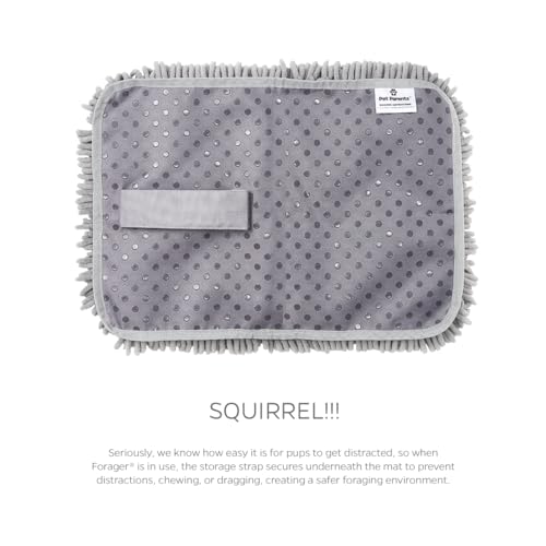 Forager Slow Feeder CAT and Dog Snuffle MAT and Feeding MAT