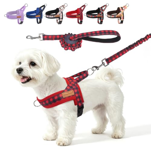 Small Dog Harness and Leash Set (Buffalo Red / S: Chest 17.5"-22")