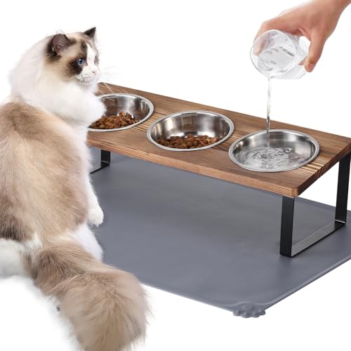 Upgraded Elevated Cat Bowls with Food Mat