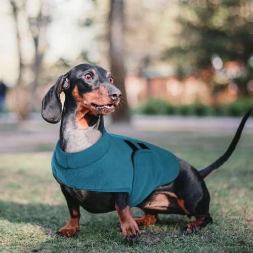 Cat Sweater Soft Fleece Dog Vest Warm Dog Jacket with Leash Hole (Peacock-Blue / XX-Small)