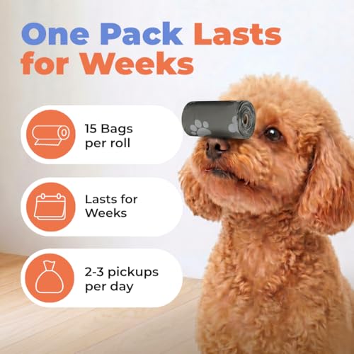 Poop Bags for Dogs (Gray / 240 Bags)