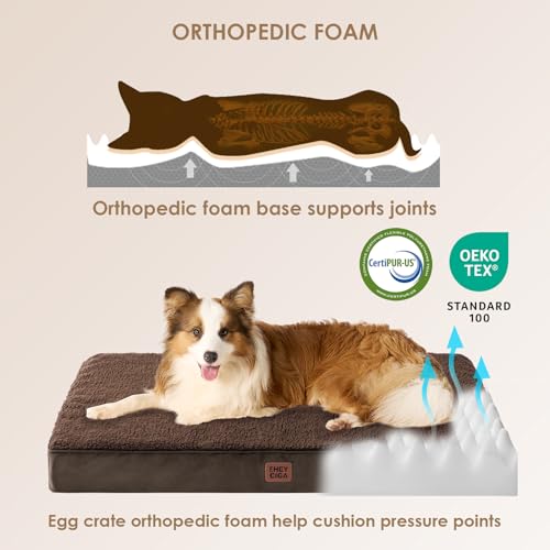 Orthopedic Dog Bed with Removable Washable Cover (30*20*3.5 inches / Brown)