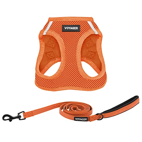 Voyager Step in Air All Weather Mesh Harness and Reflective Dog 5ft Leash Combo with Neoprene Handle (Harness Leash Set (Orange) / XL (Chest: 20.5 - 23"))