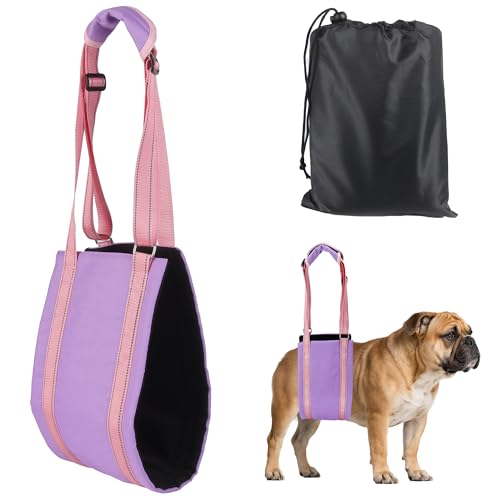 Summer Dog Lift Harness for Hind Leg Support (Purple / S)