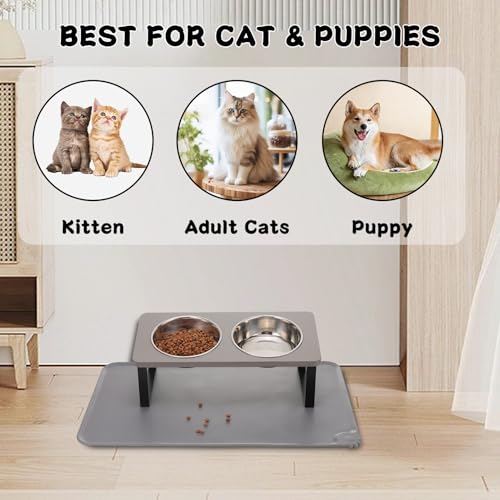 Upgraded Elevated Cat Bowls with Food Mat