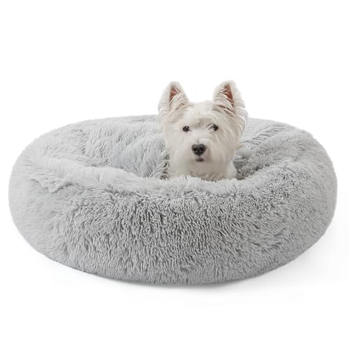 Calming Donut Dog Bed (Grey / Small 19.7''x19.7''x7'')