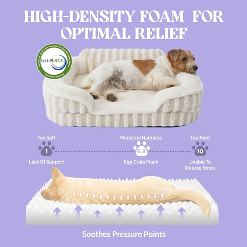 Cute Cozy High Back Orthopedic L Plus Dog Bed (38.0"l X 28.0"w X 7.0"th / Beige)