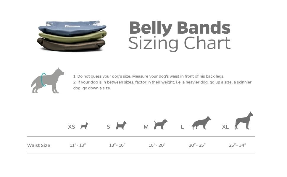 Washable Belly Bands for Male Dogs (Small (13-16") / Koda)