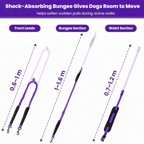 Hands Free Double Dog Leash (Purple)