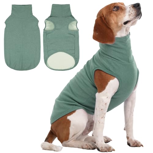 XL Dog Sweater (X-Large / Green)