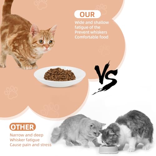 6 Pack Cat Food Bowl (White-E)