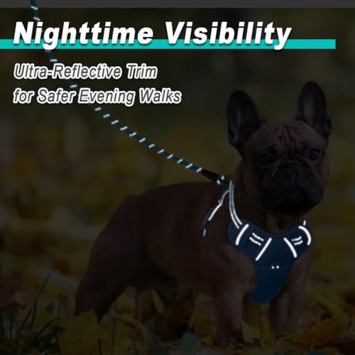 Dog Harness for Small Sized Dog No Pull Mesh 2 Clips Dog Vest (X-Small / Blue-Mesh)