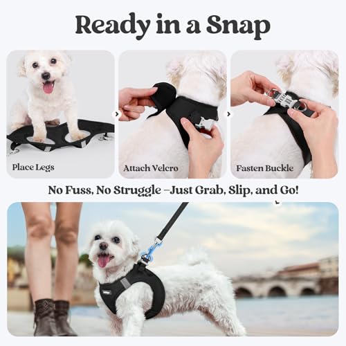 Dog Harness Small Sized and Leash Set (Black / Xxxs (chest: 10.8 - 11.8"))