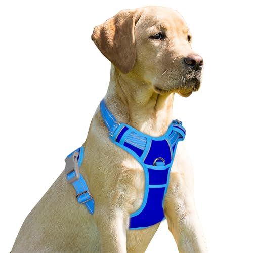 Dog Harness No Pull for Large Dogs Front Back Clips (Large(Chest:24.5-32.5") / Sapphire Blue & Blue)