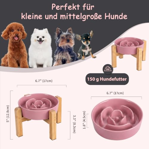 Elevated Slow Feeder Dog Bowl (Pink / 1.5 Cups)