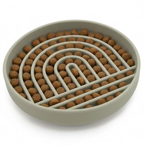 Slow Feeder Dog Bowl (Sage - Rainbow Design / Medium (7.5” Across x 1.5” Tall))