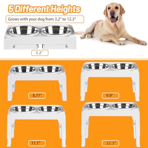 Elevated Dog Bowls with 2 Stainless Steel Food & Water Raised Bowls with No Spill Edge Non (M (8" for M/L Dogs) / White)