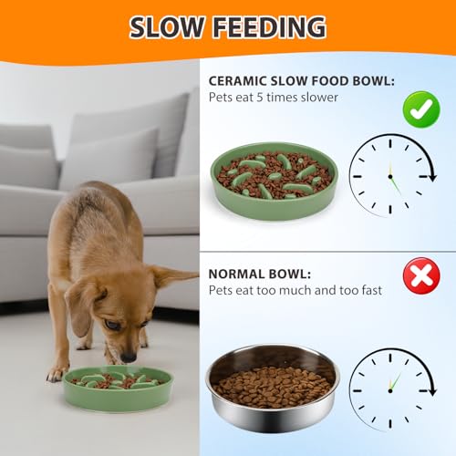 Ceramic Slow Feeder Dog Bowl (Maze - Green / 2 Cups)