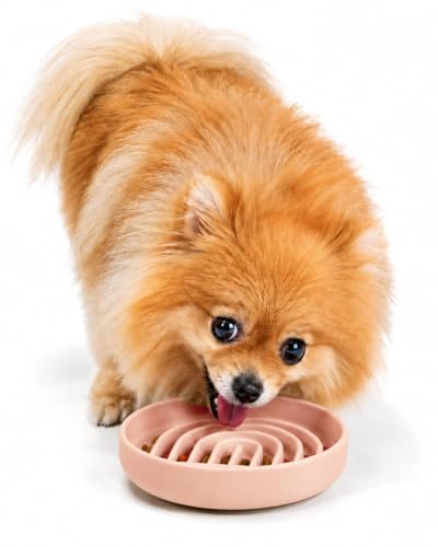 Slow Feeder Dog Bowl (Blush - Rainbow Design / Small (6” Across x 1.25” Tall))