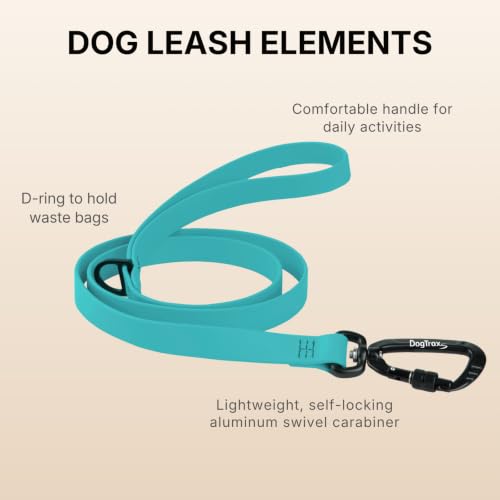 Essential Biothane Dog Leash (Black / 3/4 In x 3 Feet)