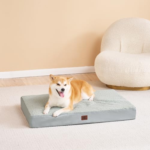 Orthopedic Dog Bed Medium with Removable Washable Cover (30*20*3.5 inches / Greyish Green)