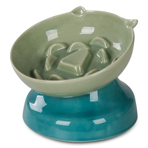 Ceramic Slow Feeder Cat Bowl (Green)