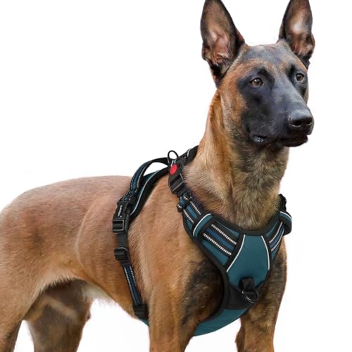 Dog Harness for Large (X-large / Blue Coral)