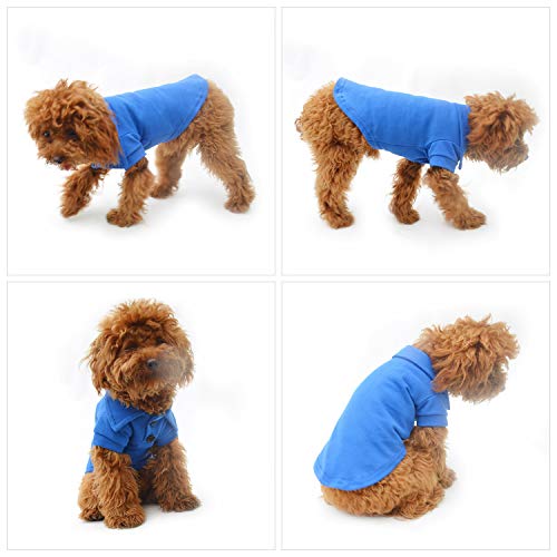 Basic Dog Polo Shirts Premium Cotton (XS (-6lbs) / Blue)