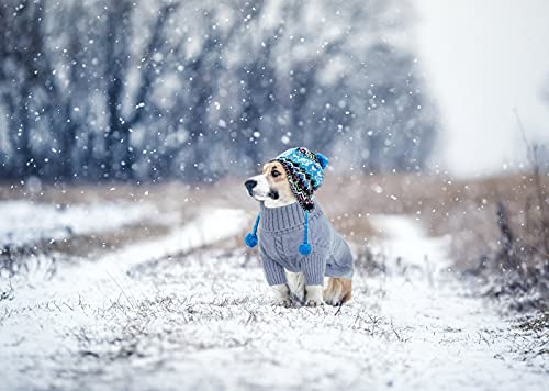 Dog Sweater for Small to Large Dogs (Large / Grey)