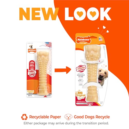 Power Chew Textured Bone Dog Chew Toy (X-Large)