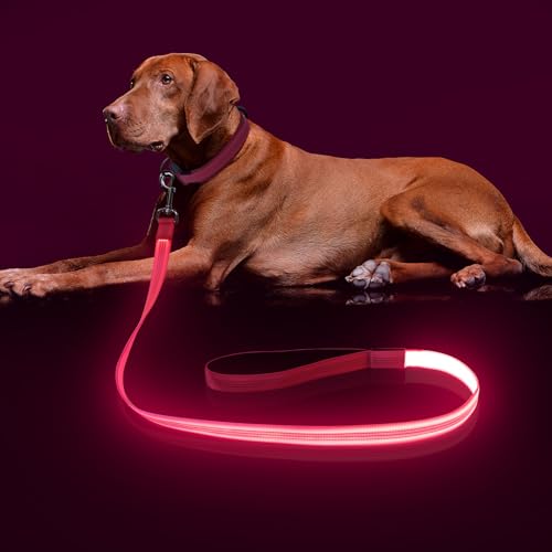 LED Light Up Dog Leash (Pink / 4FT)