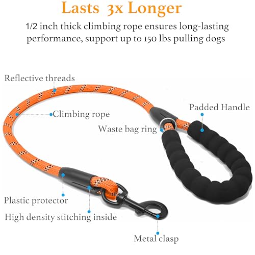 Double Dog Leash (Orange / Large)
