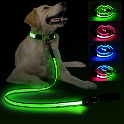 LED Dog Leash Ultra Bright (4 Ft)