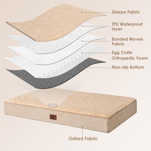 Orthopedic Dog Bed Large with Removable Washable Cover (35*23*3.5 inches / khaki)