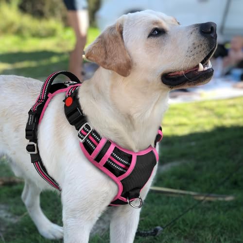 Dog Harness for Large (Black & Pink / Large)